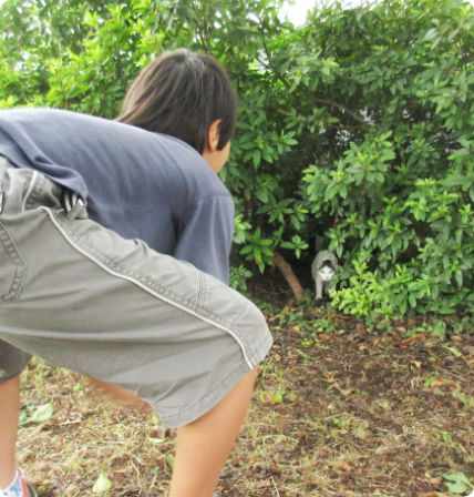 NPO法人 学童保育の会・この指とまれについて